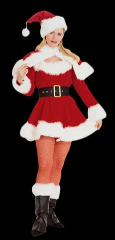 Ms. Santa Sexy Christmas Costume