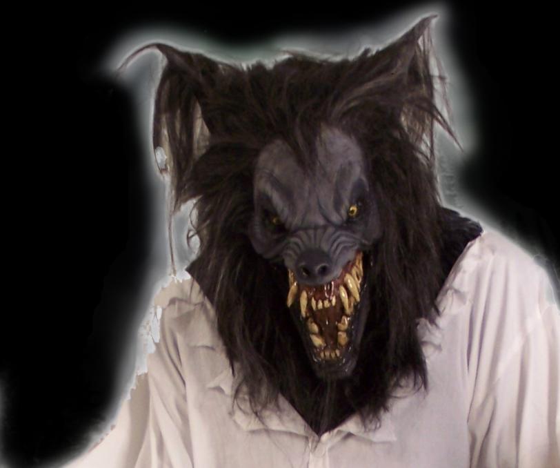 The night of the werewolf bust
